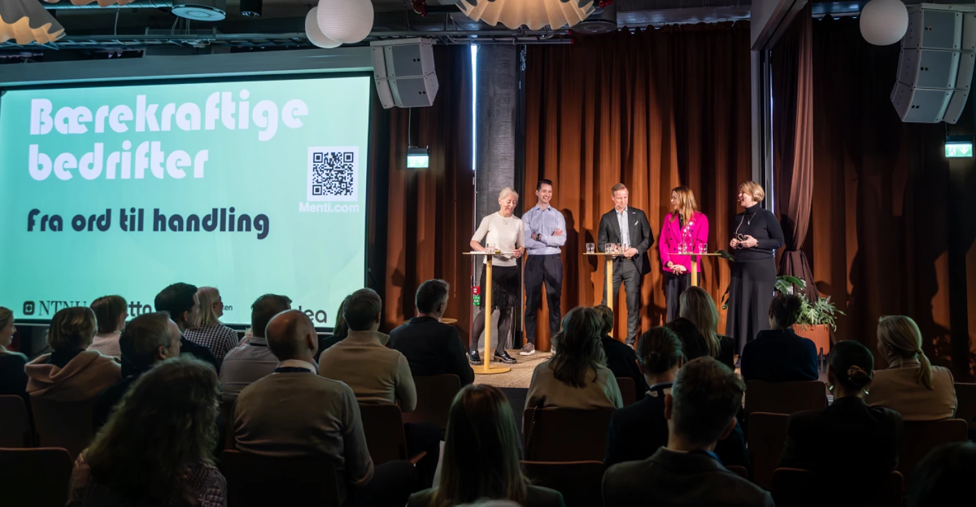 Baerekraftige bedrifter 2025