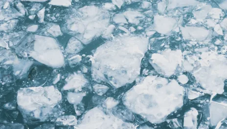 Wattn kraftmarkedsrapport strompris stromforbukt