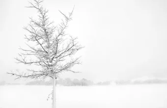 Wattn kraftrapport snor kaldt spotpris png