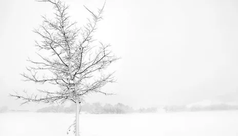 Wattn kraftrapport snor kaldt spotpris png