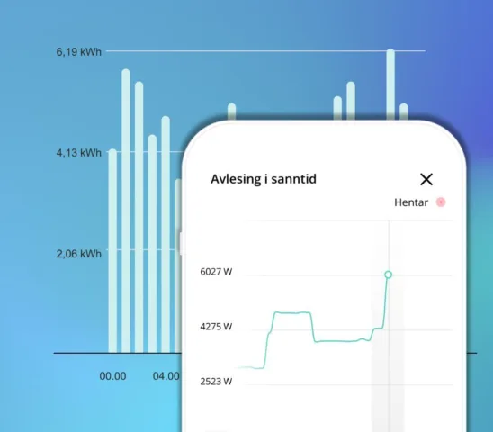 Wattn Kundeapp Wattmeter 2