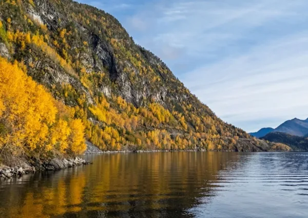 Wattn Host Fjord og fjell Volda
