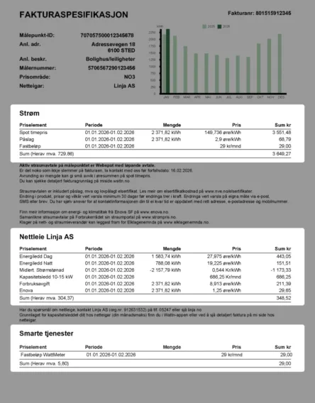 Wattn Faktura Bakside Detaljer