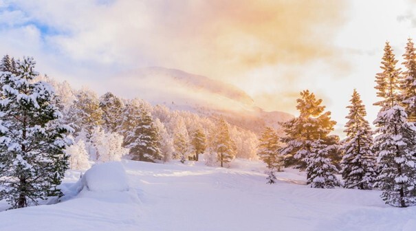 Wattn kraftrapport vinter