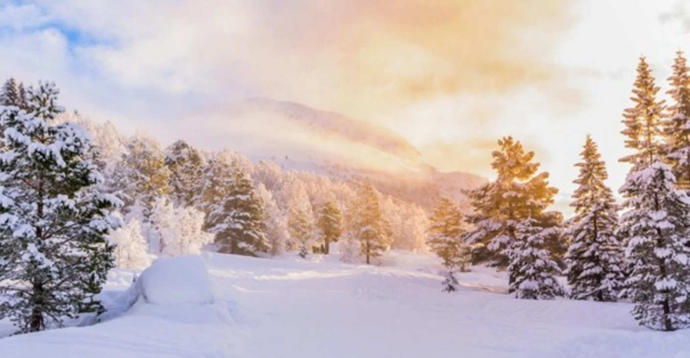 Wattn kraftrapport vinter