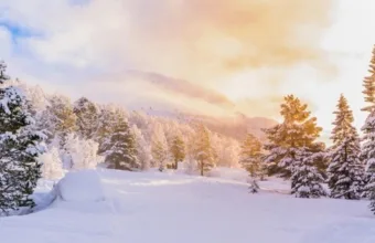 Wattn kraftrapport vinter