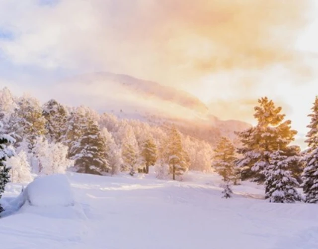 Wattn kraftrapport vinter