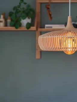 Lampe med hylle i bakgrunn
