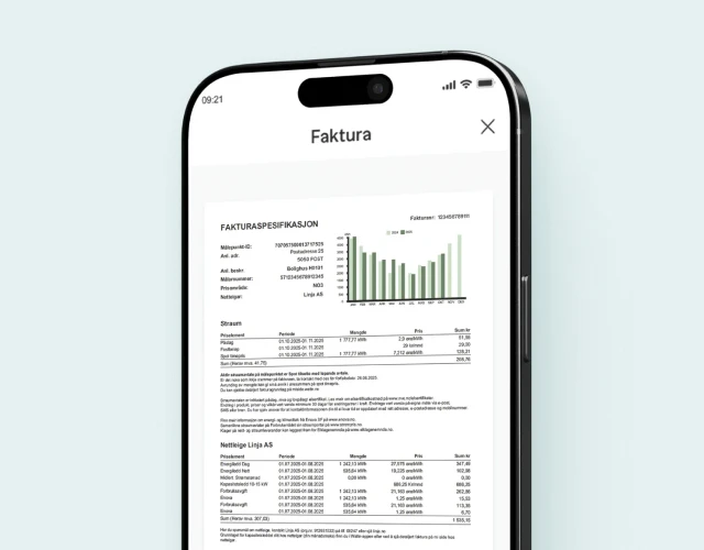 Faktura i appen 1920x500