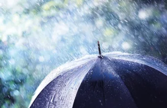 Wattn strømavtale spotpris time for time