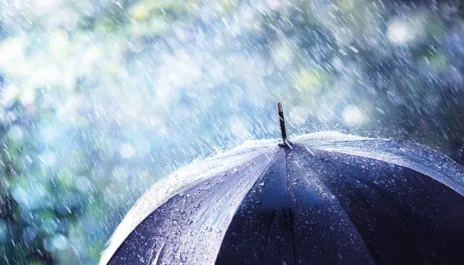 Wattn strømavtale spotpris time for time