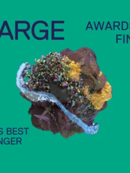 Finalist RVK 2022 WATTN 15 lang